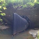 Duckbill Check Valves