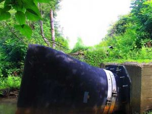 Duckbill Check Valves