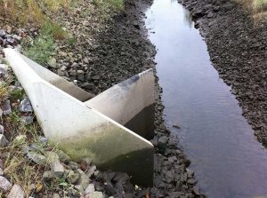 Duckbill Check Valve